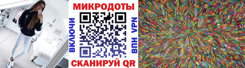 Галлюциногенные грибы мухоморы Гаврилов Посад